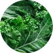 Greens Blend